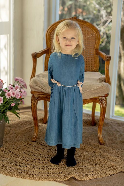 ALEX & ANT - YVETTE DRESS CHAMBRAY