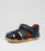 BOBUX - ROAM STEP UP NAVY