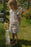 Coming Soon - ELMA - HONEY BLOUSE LIBERTY NANCY ANN