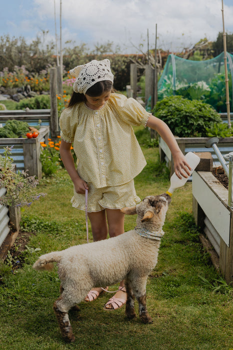 Coming Soon - ELMA - LILIA SHORTS BUTTERCUP