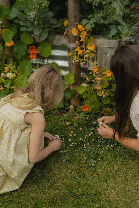 Coming Soon - ELMA - COLETTE DRESS BUTTERCUP