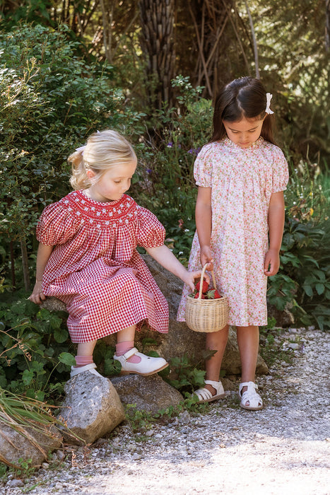 ELMA - CELESTE DRESS STRAWBERRY GINGHAM