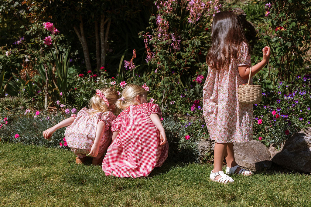 ELMA - CELESTE DRESS STRAWBERRY GINGHAM