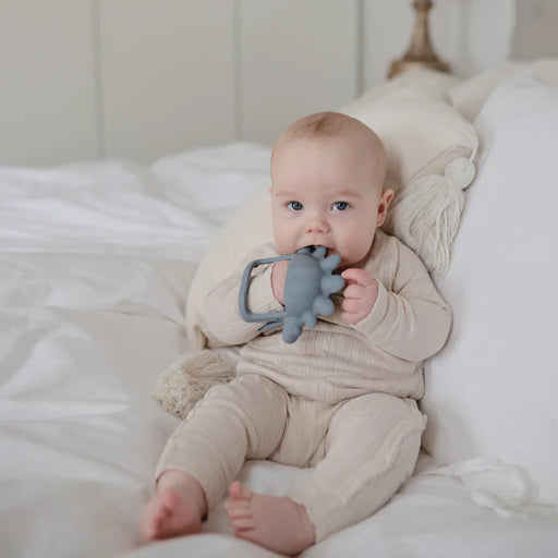 MUSHIE NO DROP DINO TEETHER - TRADEWINDS