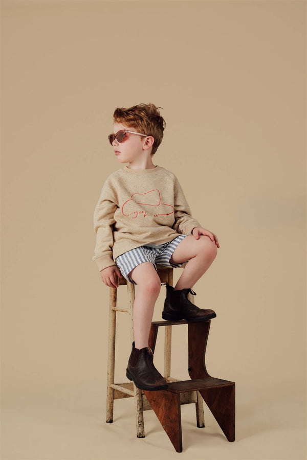 Boys Jumpers & cardigans