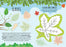 SASSI- NATURE- STICKERS AND ACTIVITIES