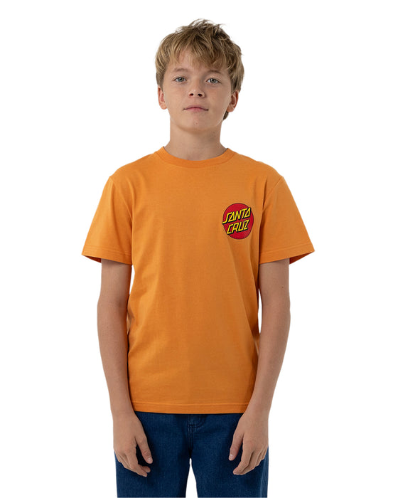 SANTA CRUZ - MEEK SCRATCHED SLASHER TEE GINGER