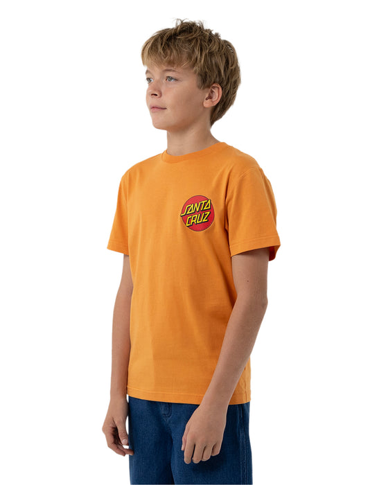 SANTA CRUZ - MEEK SCRATCHED SLASHER TEE GINGER