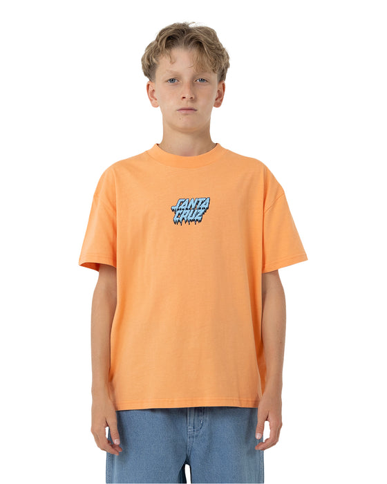 SANTA CRUZ - DECAYING HAND CENTRE SHORT SLEEVE TEE ORANGE