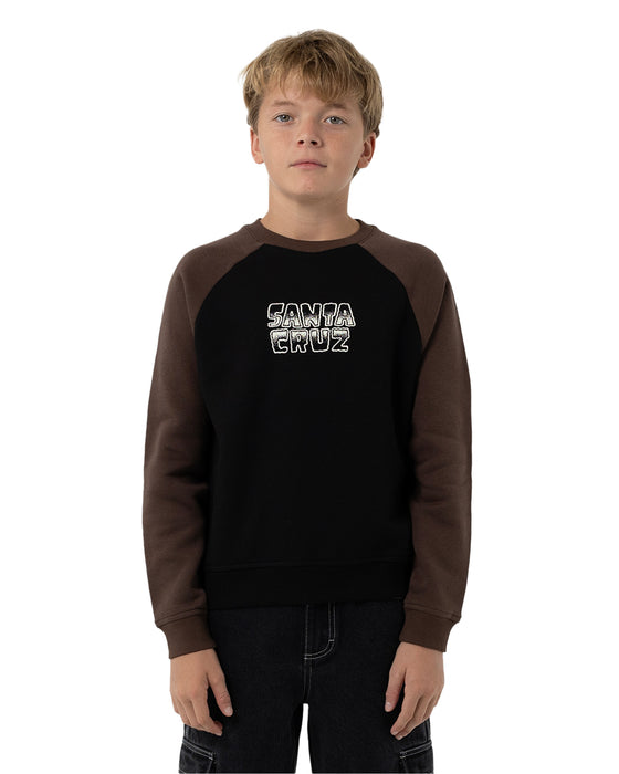 SANTA CRUZ - MULTI CRUZ STACK MONO FRONT SWEATER BROWN