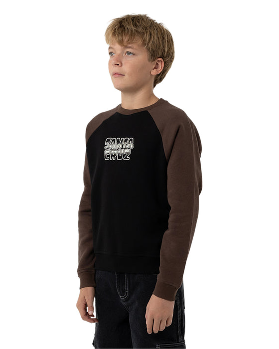 SANTA CRUZ - MULTI CRUZ STACK MONO FRONT SWEATER BROWN
