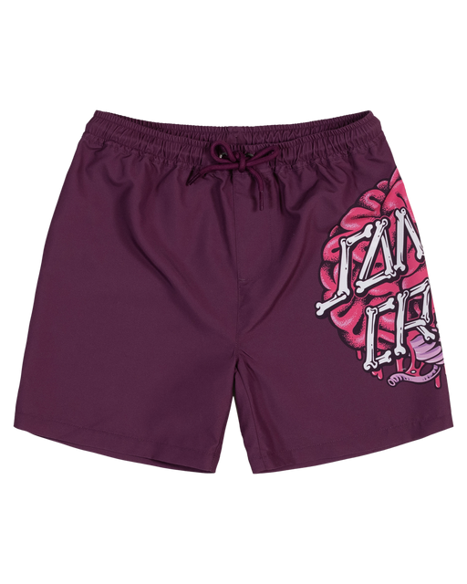 SANTA CRUZ - BRAIN DOT BOARDSHORTS MAROON