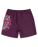 SANTA CRUZ - BRAIN DOT BOARDSHORTS MAROON