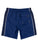SANTA CRUZ - FISHEYE STRIP BOARDSHORT DARK BLUE