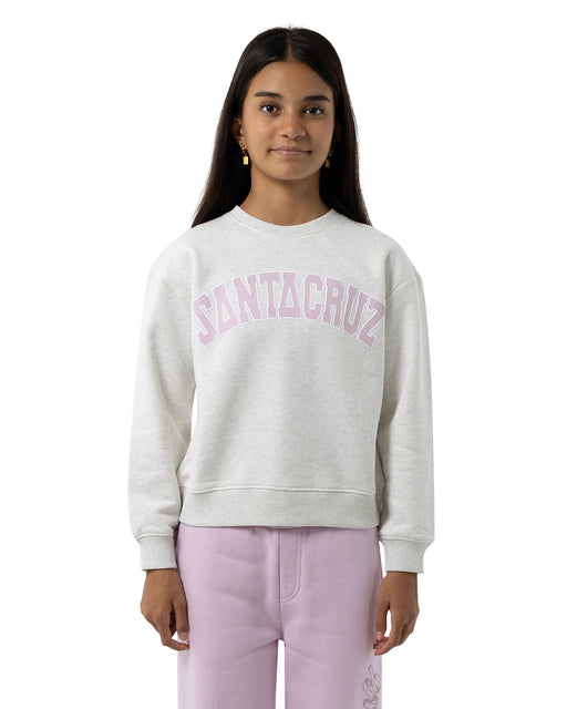 SANTA CRUZ - COLLEGIATE STRIP FRONT SWEATER WHITE MARLE
