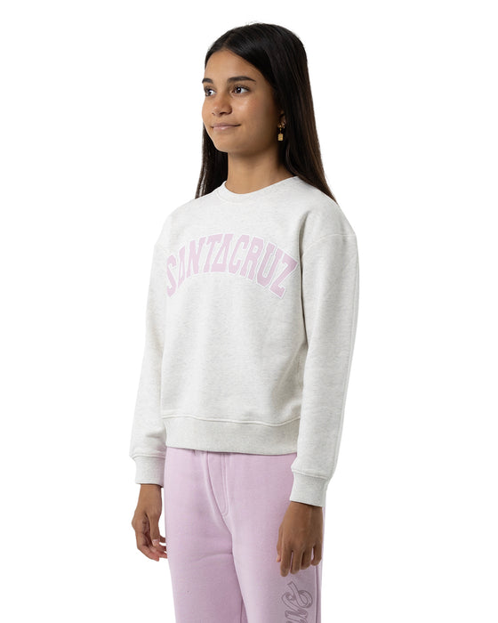 SANTA CRUZ - COLLEGIATE STRIP FRONT SWEATER WHITE MARLE
