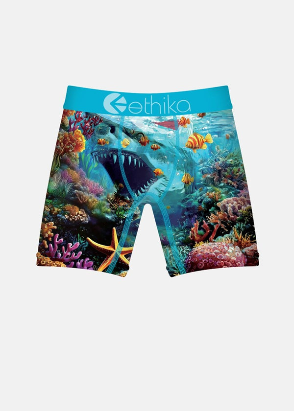 Boys underwear