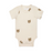 JAMIE KAY - ORGANIC COTTON HUDSON SHORT SLEEVE BODYSUIT BOBBIE BEAR TOFU