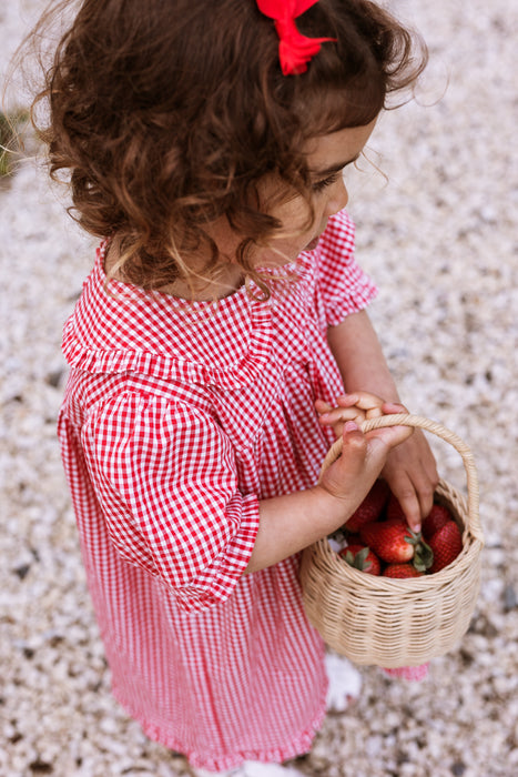 ELMA - BONNIE DRESS CHERRY GINGHAM