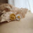 FRIGG LATEX PACIFIER - DAISY CHAMOMILE - The Kids Store